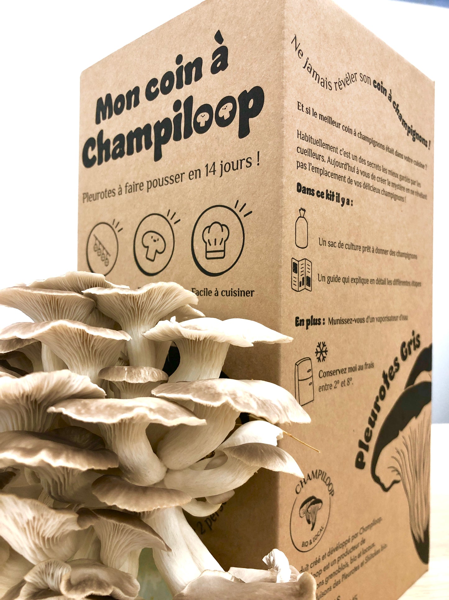 Mon Coin à Champiloop