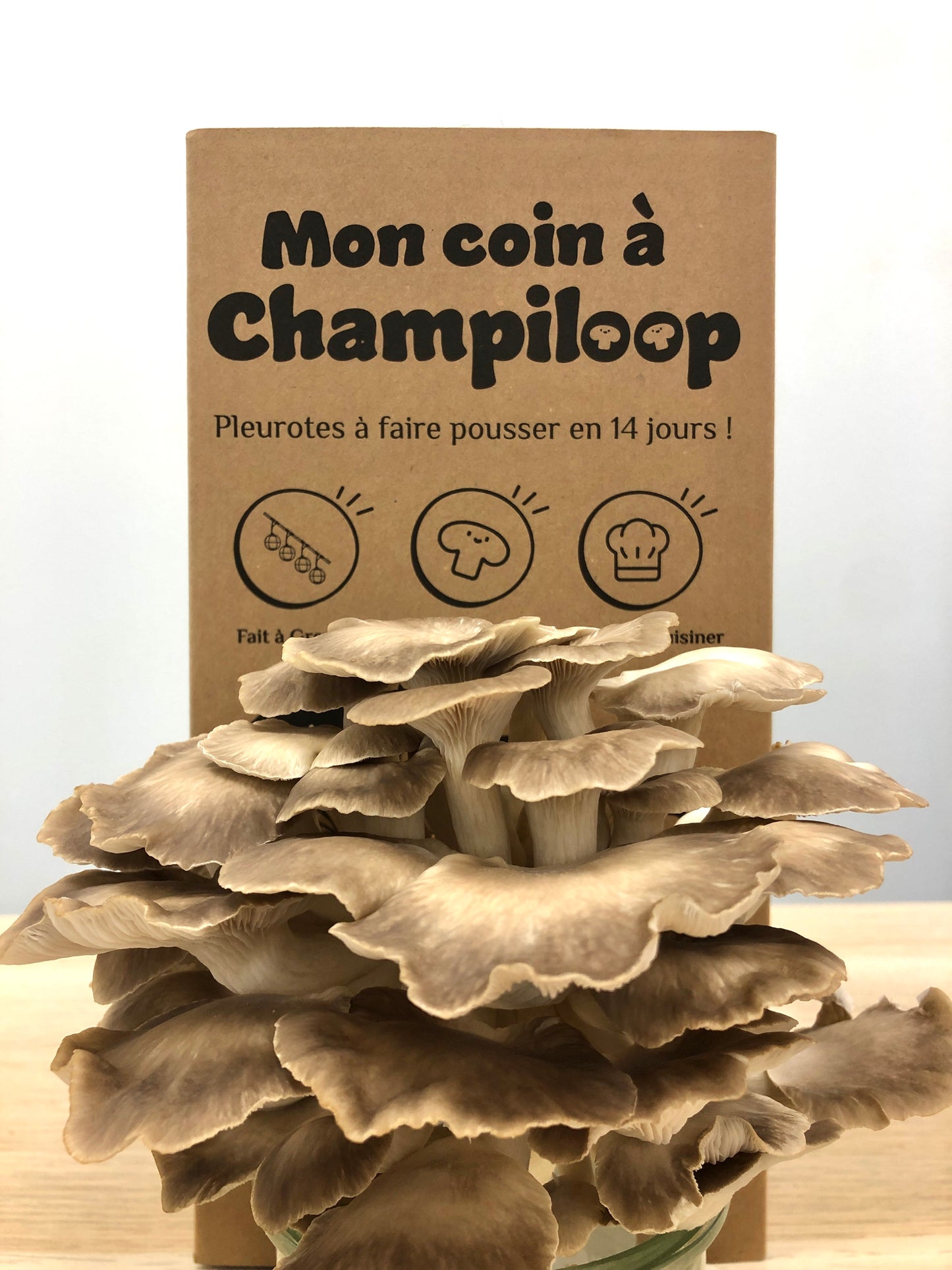 Mon Coin à Champiloop