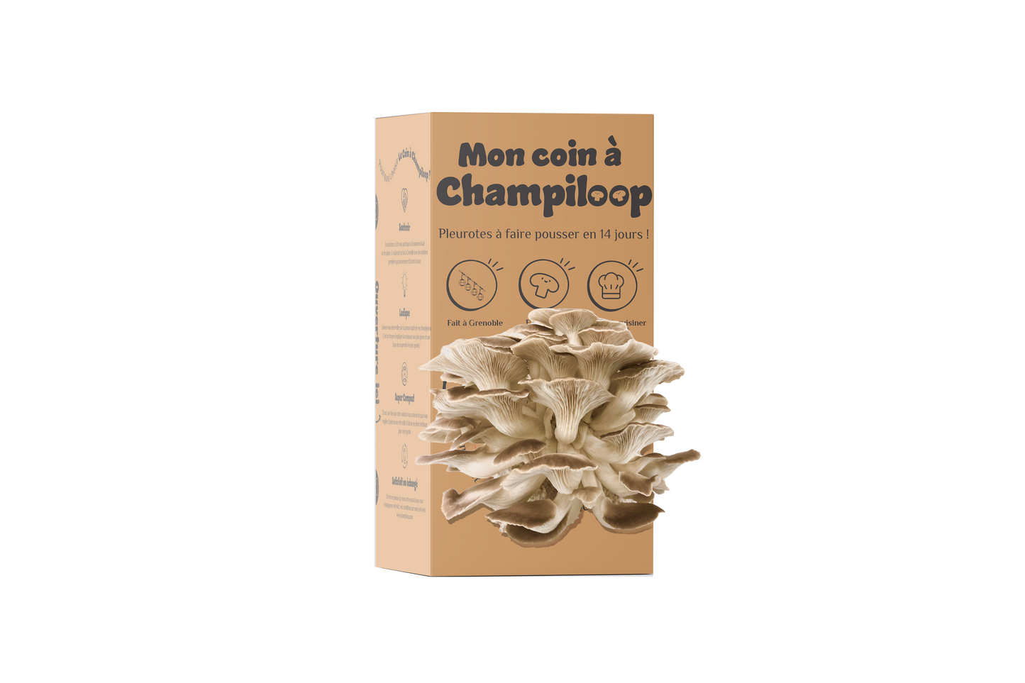 Offre 2 Coins à Champiloop