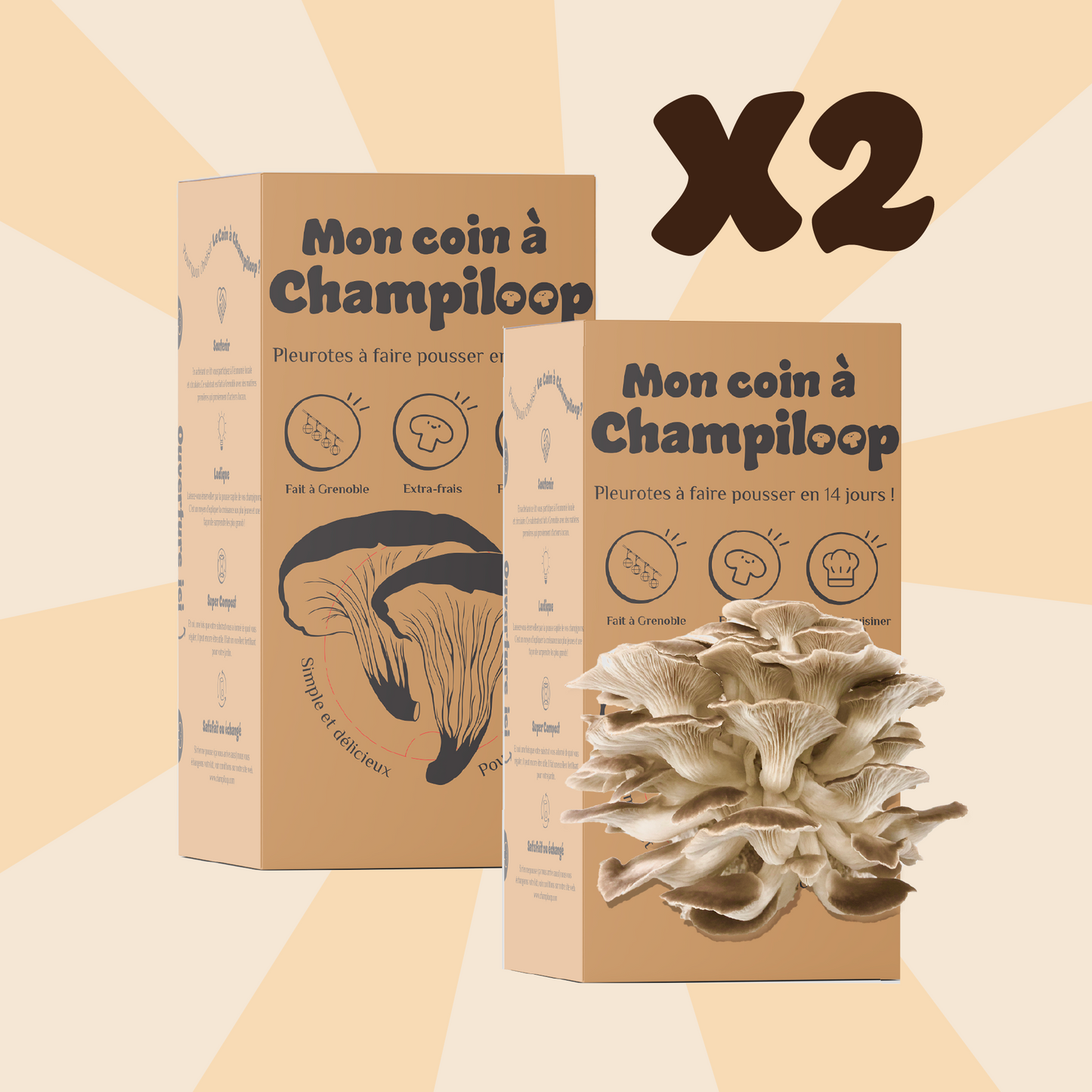 Offre 2 Coins à Champiloop