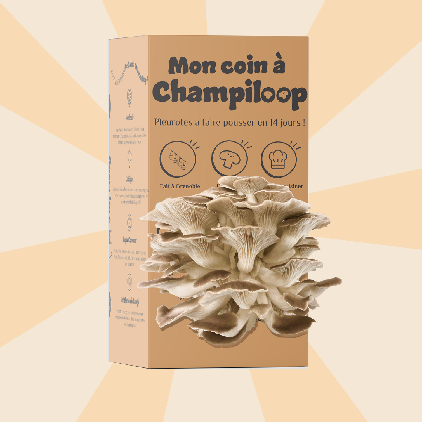 Offre 2 Coins à Champiloop